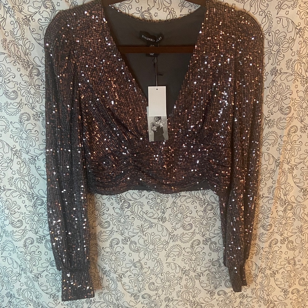 Sincerely Jules Shimmering Sequin V-Neck Blouse